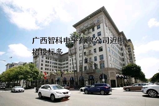 广西智科电子有限公司