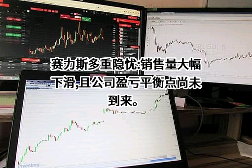 华为技术有限公司