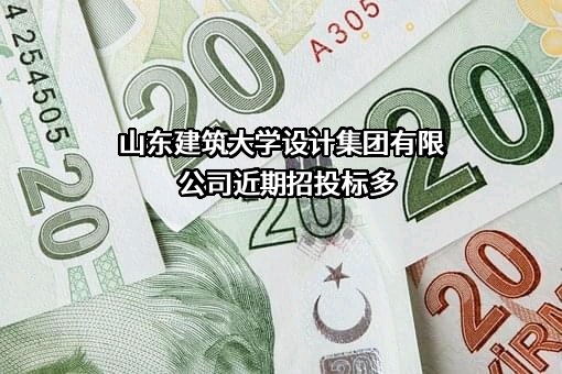 山东建筑大学设计集团有限公司