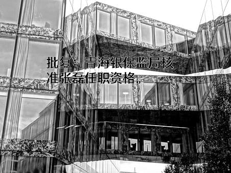 大通中银富登村镇银行有限责任公司