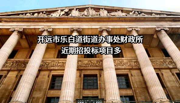 开远市乐白道街道办事处财政所近期招投标项目多