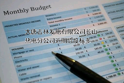 大唐吉林发电有限公司长山热电分公司