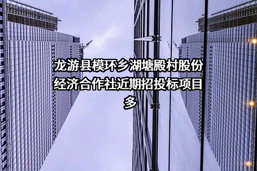 龙游县模环乡湖塘殿村股份经济合作社近期招投标项目多