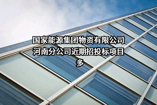 国家能源集团物资有限公司河南分公司