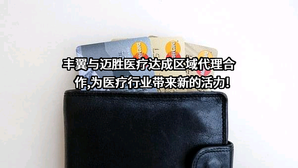 丰翼科技（深圳）有限公司