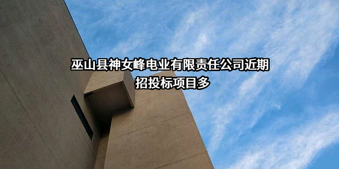 巫山县神女峰电业有限责任公司