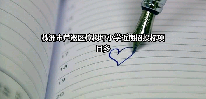 株洲市芦淞区樟树坪小学