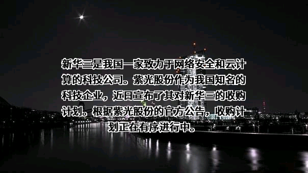 紫光股份有限公司