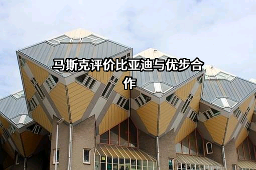 马斯克评价比亚迪与优步合作