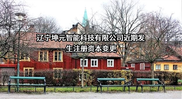 辽宁坤元智能科技有限公司