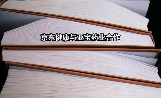 亚宝药业集团股份有限公司