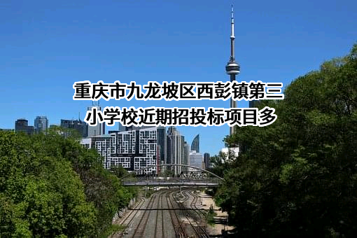 重庆市九龙坡区西彭镇第三小学校近期招投标项目多