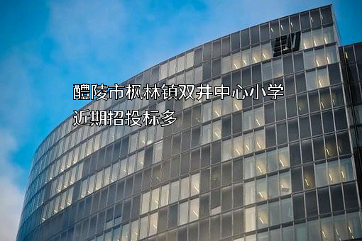 醴陵市枫林镇双井中心小学近期招投标项目多