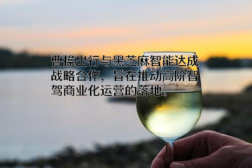 黑芝麻智能科技（上海）有限公司