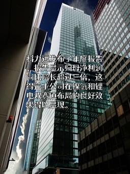 湖南科力远新能源股份有限公司