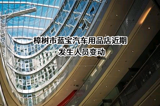 樟树市蓝宝汽车用品店