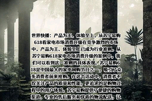 苏宁易购集团股份有限公司