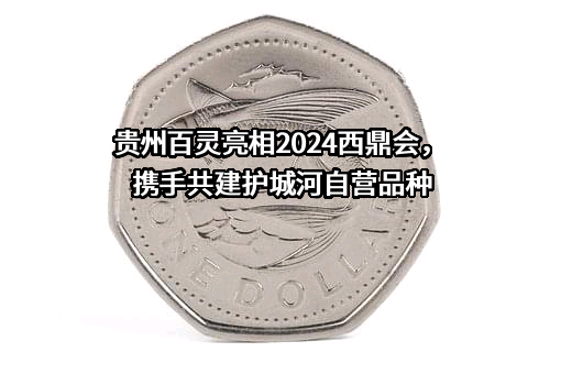 贵州百灵企业集团制药股份有限公司