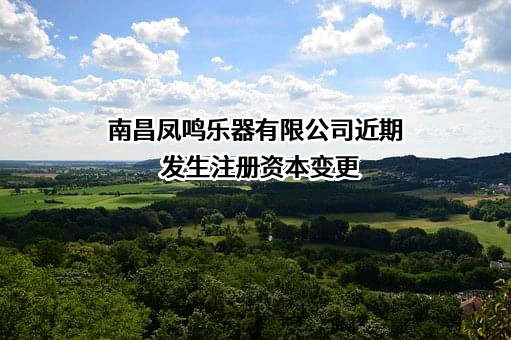 南昌凤鸣乐器有限公司