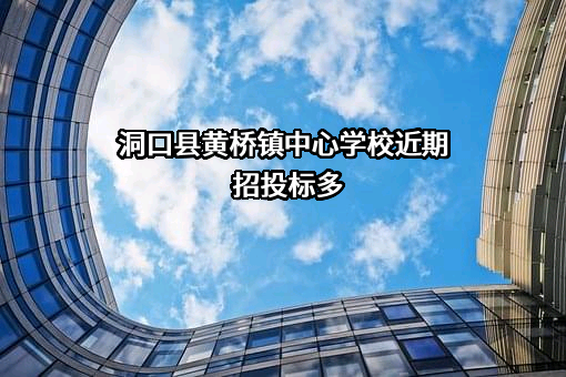 洞口县黄桥镇中心学校