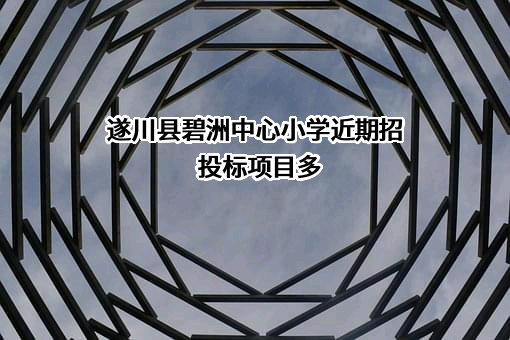 遂川县碧洲中心小学近期招投标项目多