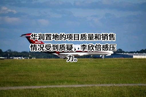 华润置地有限责任公司