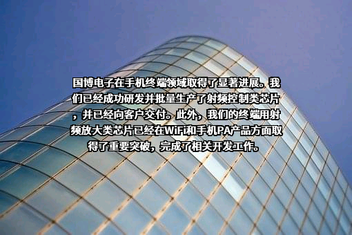 南京国博电子股份有限公司