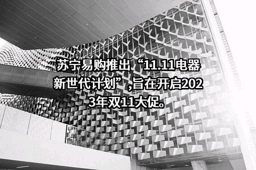 苏宁易购集团股份有限公司