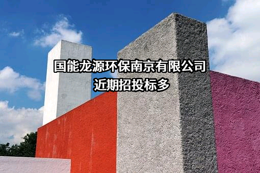 国能龙源环保南京有限公司