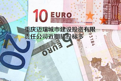 重庆迈瑞城市建设投资有限责任公司