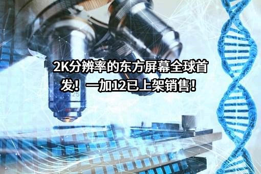 索尼（中国）有限公司