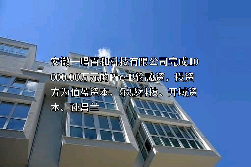 安徽一唱百和科技有限公司