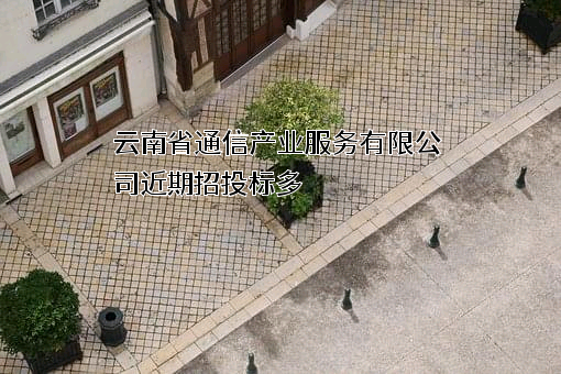 云南省通信产业服务有限公司
