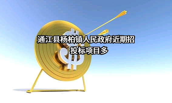 通江县杨柏镇人民政府