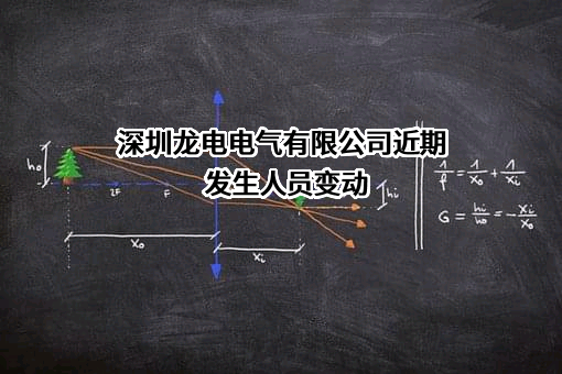 深圳龙电电气有限公司