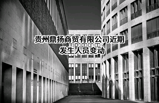 贵州鼎扬商贸有限公司