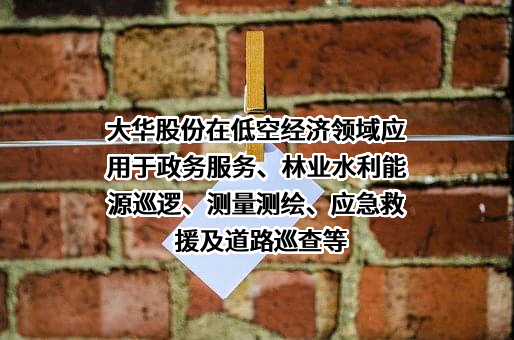 浙江大华技术股份有限公司