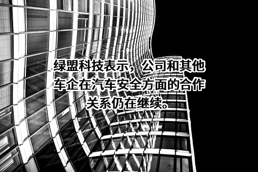 绿盟科技集团股份有限公司