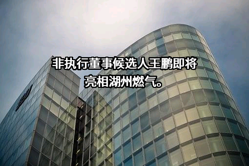 湖州燃气股份有限公司