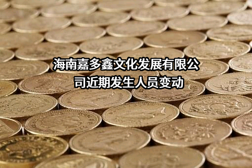 海南嘉多鑫文化发展有限公司