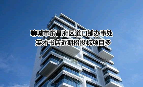 聊城市东昌府区道口铺办事处英才书店