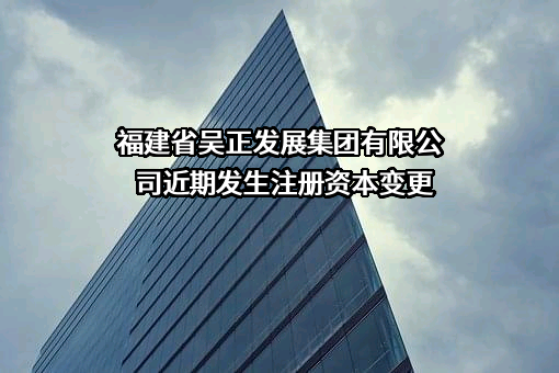 福建省吴正发展集团有限公司