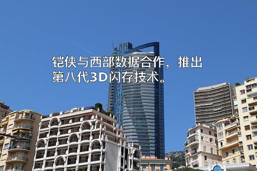 西部数据公司