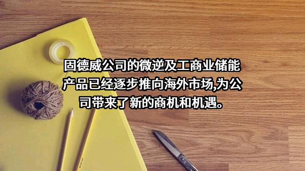 固德威技术股份有限公司