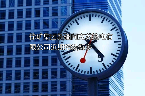 徐矿集团新疆阿克苏热电有限公司