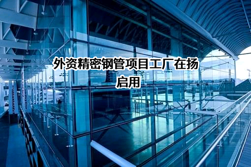 扬森精密钢管（扬州）有限责任公司