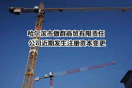 哈尔滨市傲群商贸有限责任公司