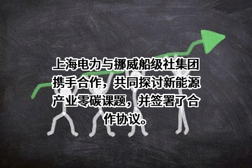 上海电力股份有限公司