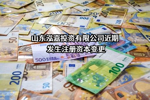 山东泓嘉投资有限公司