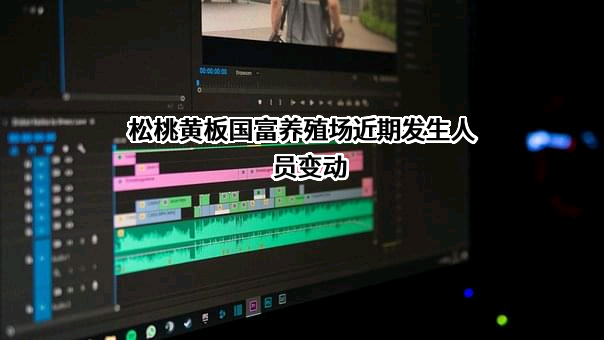 松桃黄板国富养殖场